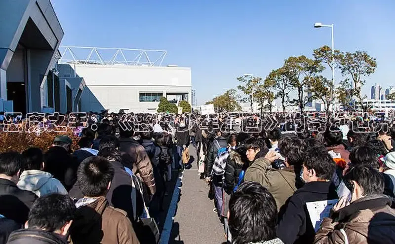 51动画网页版官网